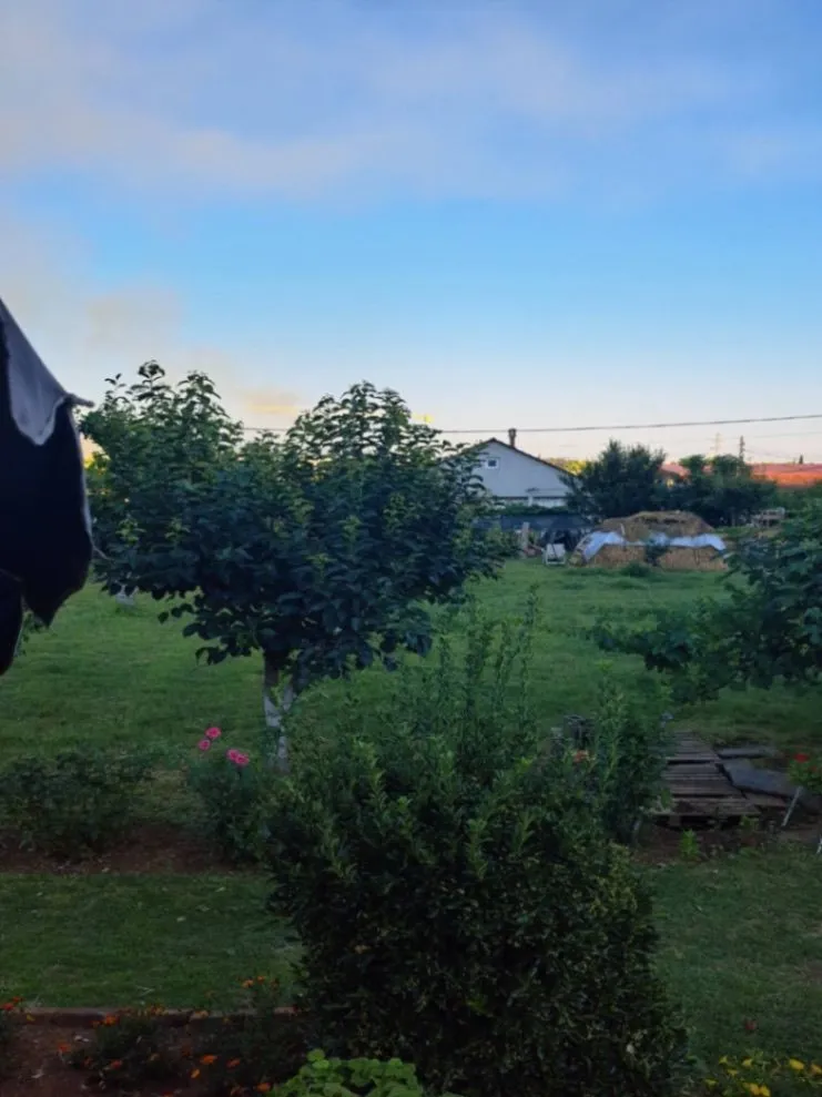 Prodaja, plac, 1600m², Zabjelo, Podgorica