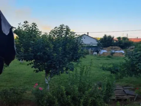 Prodaja, plac, 1600m², Zabjelo, Podgorica - image 3