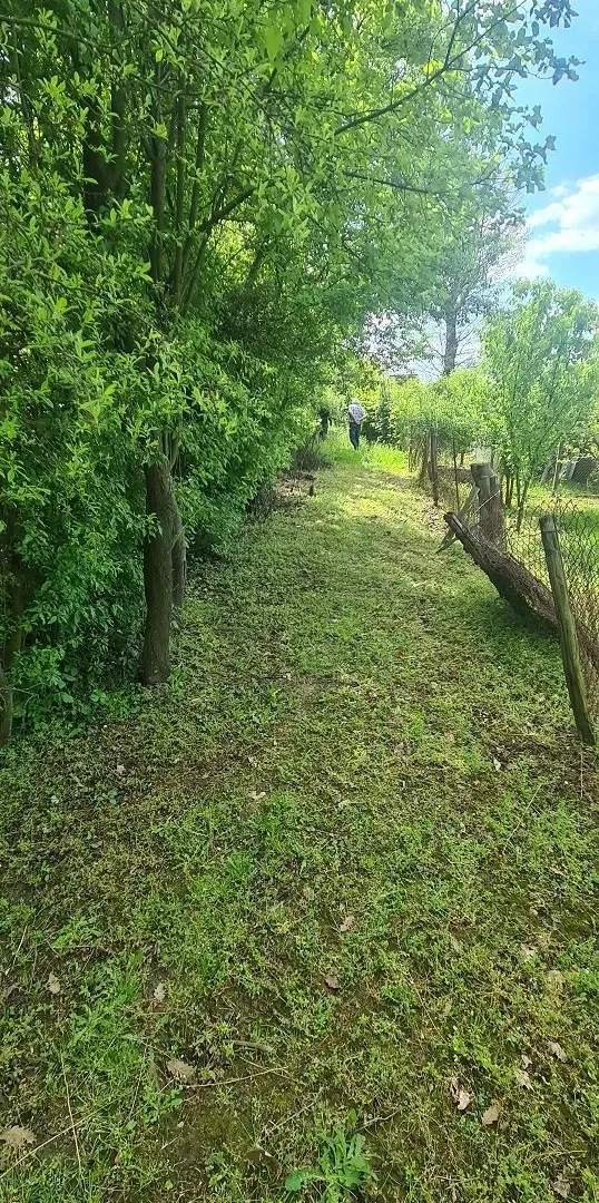 Prodaja, kuća, 45m², Požarevac, Srbija