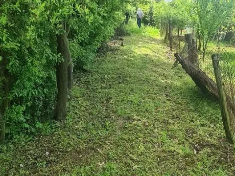 Prodaja, kuća, 45m², Požarevac, Srbija - image 6
