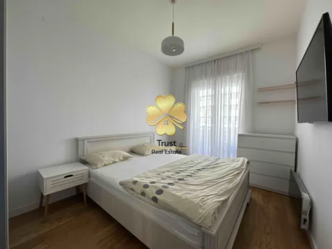 Izdavanje, jednosoban stan, 50m², Central Point, Podgorica - image 11