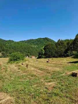 Prodaja, plac, 7000m², Veruša, Podgorica - image 5