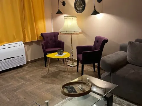 Stan-na-dan, jednosoban stan, 55m², Šušanj, Bar - image 8