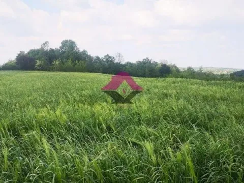 Prodaja, plac, 17098m², Sopot, Beograd - image 3