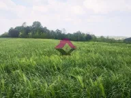 Prodaja, plac, Sopot, Beograd - image 3