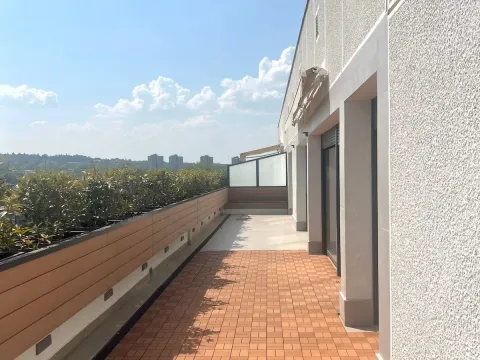 Izdavanje, četvorosoban stan, 237m², Vračar Hram, Vračar Sve Podlokacije - image 18