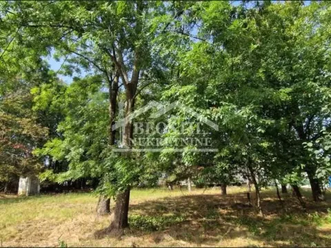 Prodaja, plac, 3200m², Baćevac, Barajevo - image 4