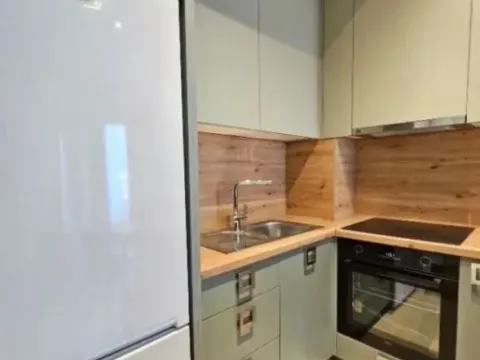 Izdavanje, jednosoban stan, 45m², Zabjelo, Podgorica - image 4