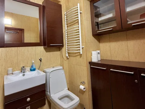 Izdavanje, jednosoban stan, 50m², Centar, Podgorica - image 8