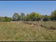 Prodaja, plac, Bečmen, Surčin - image 5