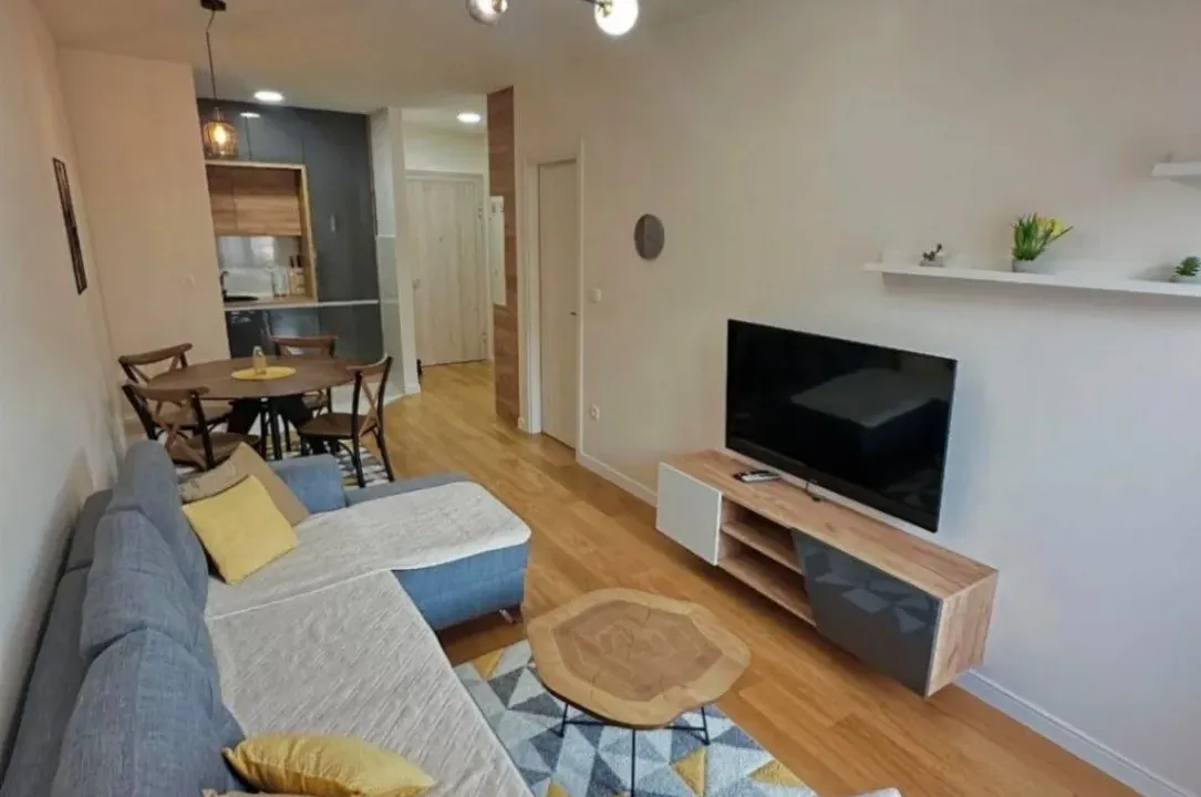 Izdavanje, jednosoban stan, 43m², Central Point, Podgorica