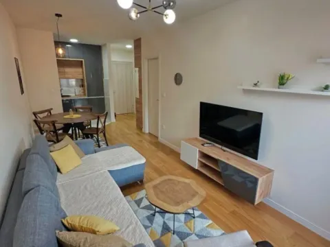 Izdavanje, jednosoban stan, 43m², Central Point, Podgorica