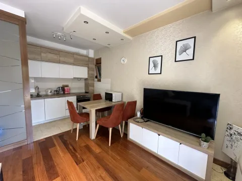 Izdavanje, dvosoban stan, 65m², Centar, Podgorica - image 3