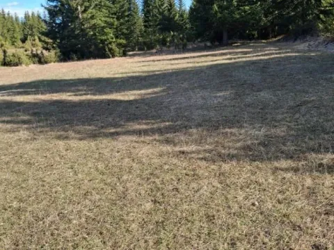 Prodaja, plac, 7800m², Žabljak, Crna Gora - image 4