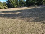 Prodaja, plac, 7800m², Žabljak, Crna Gora - image 4