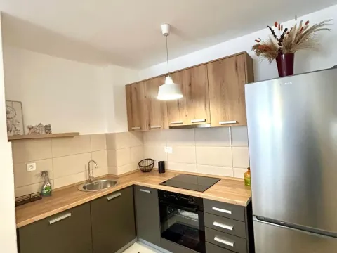 Rent, one bedroom apartment, 45m², Stari Aerodrom, Podgorica - image 1