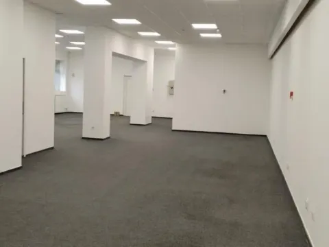 Izdavanje, poslovni prostor, 320m², Novi Beograd Blok 65, Novi Beograd Sve Podlokacije - image 5