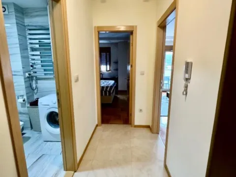 Izdavanje, jednosoban stan, 55m², Preko Morače, Podgorica - image 3