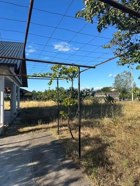Yard of the house with a metal structure for grapevines.
