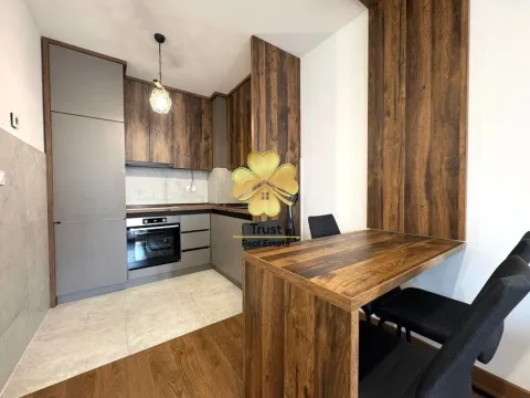 Rent, one bedroom apartment, 50m², Podgorica, Crna Gora - image 3