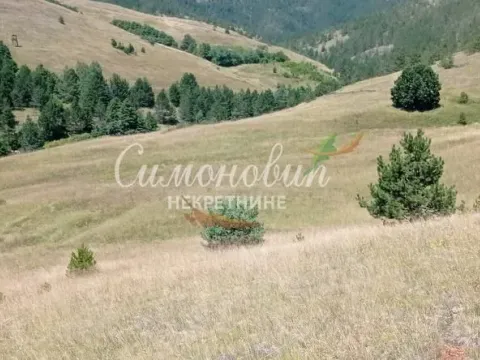 Sale, land lot, 212100m², Divčibare, Valjevo - image 17