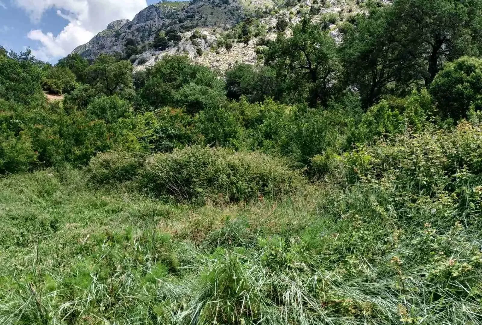 Prodaja, plac, 1748m², Kotor, Crna Gora