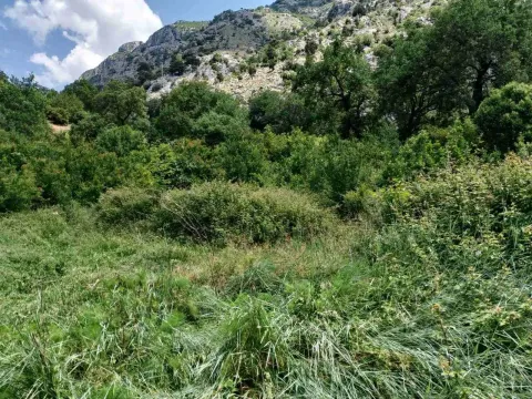 Prodaja, plac, 1748m², Kotor, Crna Gora - image 4