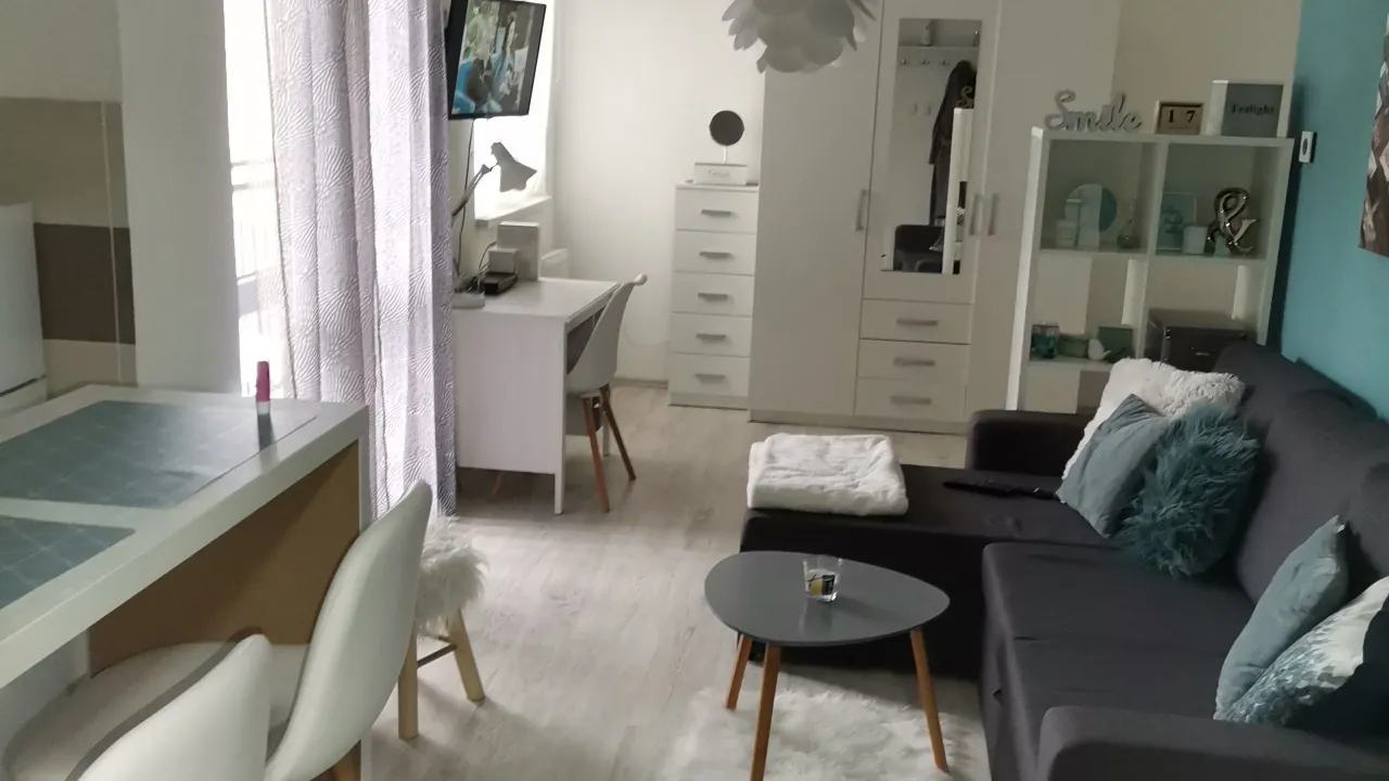 Rent, one bedroom apartment, 32m², Stari grad, Novi Sad