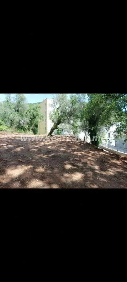 Zemljište sa rastinjem i pogledom na okolne objekte.