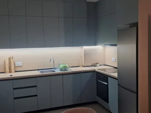 Rent, one bedroom apartment, 46m², Zabjelo, Podgorica - image 3