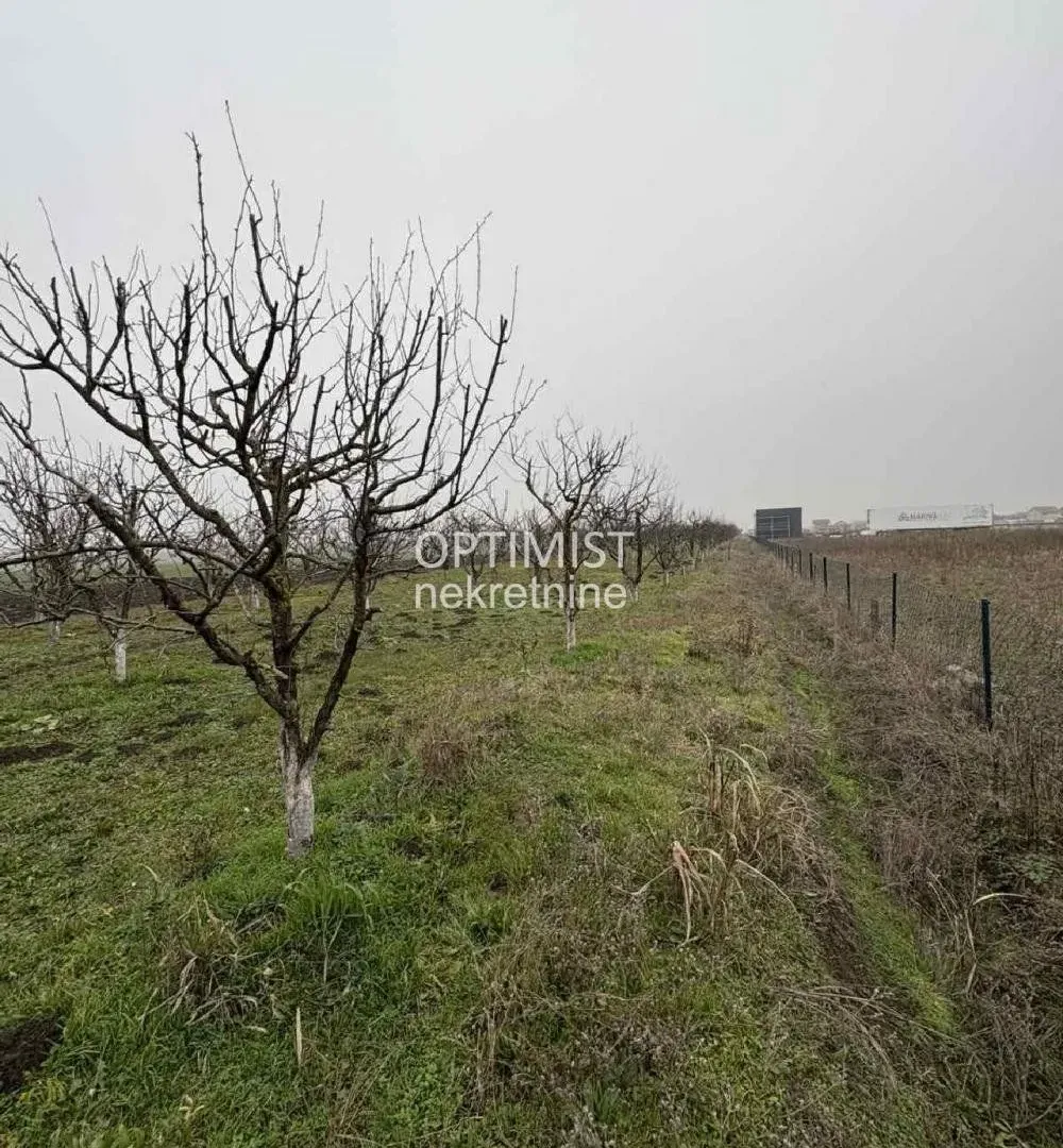 Prodaja, plac, 11000m², Zemun Ugrinovci, Zemun Sve Podlokacije