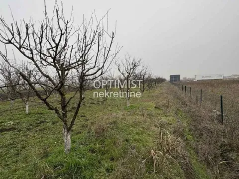Sale, land lot, 11000m², Zemun Ugrinovci, Zemun Sve Podlokacije - image 3