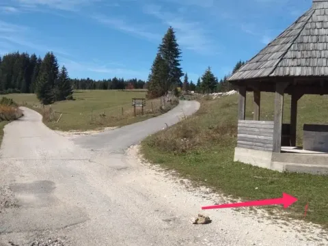 Prodaja, plac, 17803m², Žabljak, Crna Gora - image 6