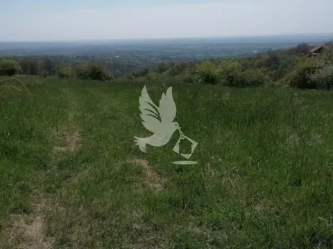 Prodaja, plac, 20000m², Mladenovac, Beograd - image 3