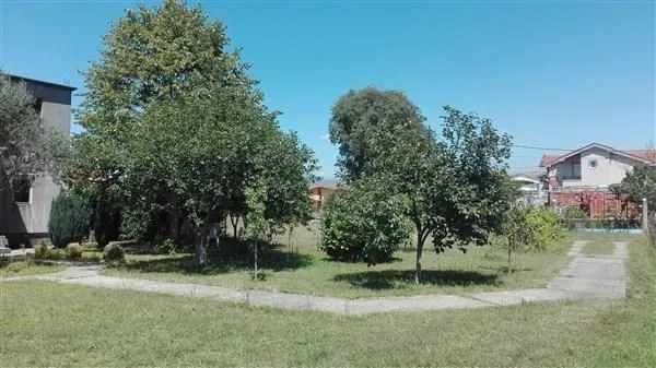 Prostrano dvorište sa zelenom travom, drvećem i popločanom stazom.