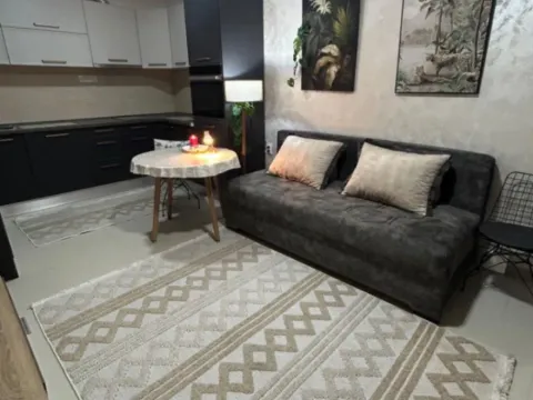 Prodaja, jednosoban stan, 40m², Zlatica, Podgorica - image 5