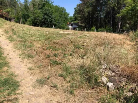 Sale, land lot, 1300m², Usije, Golubac - image 3