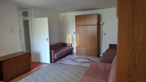 Dnevna soba sa sofama, tepihom i velikim drvenim ormanom. - image 2