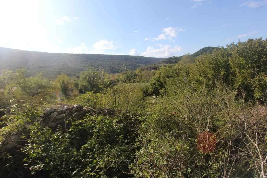 Pogled na zeleni plac okružen drvećem i brdima.