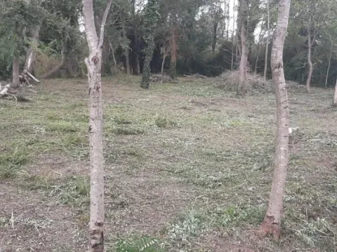 Prodaja, plac, 700m², Bigova, Kotor - image 2