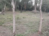 Sale, land lot, 700m², Bigova, Kotor - image 2