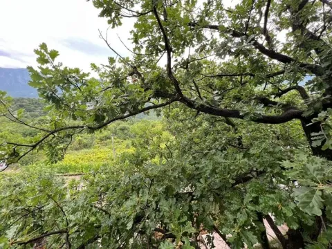 Sale, house, 220m², Virpazar, Bar - image 13