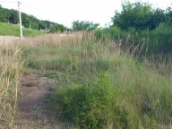 Sale, land lot, 17500m², Kolomza, Ulcinj - image 5