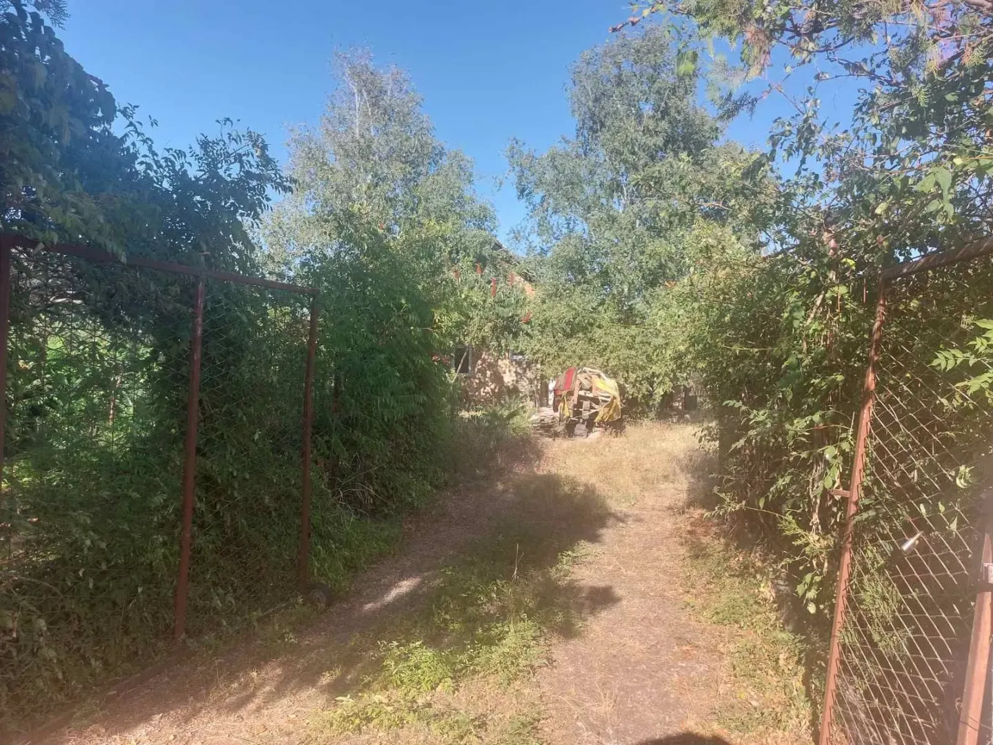Zaraslo dvorište sa kapijom i pogledom na kuću.