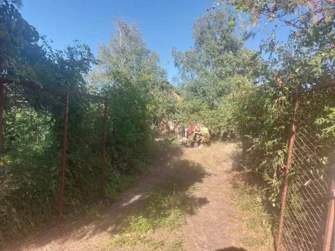 Zaraslo dvorište sa kapijom i pogledom na kuću. - image 9