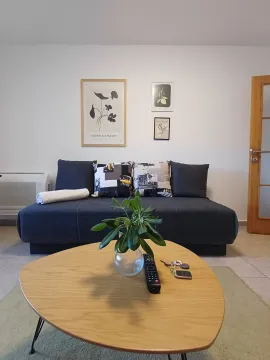 Dnevni boravak sa tamnosivom sofom, drvenim stočićem i slikama na zidu. - image 15