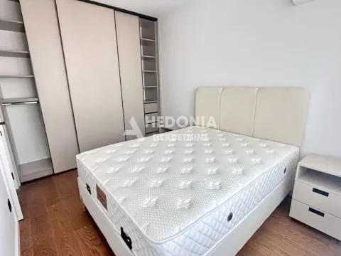 Izdavanje, dvosoban stan, 50m², Vračar Sve Podlokacije, Beograd - image 9