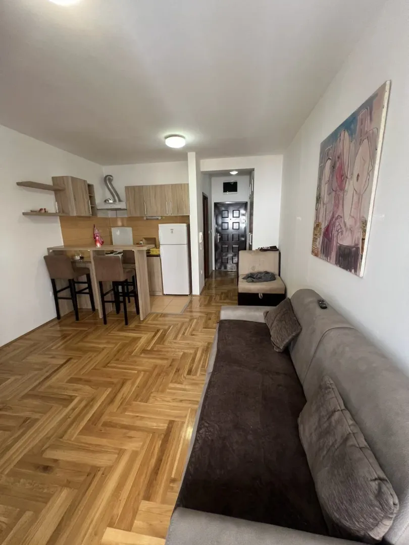 Bright living room with a sofa and a kitchen area in the background.