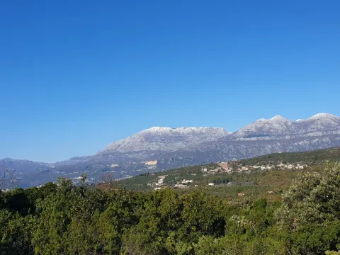 Prodaja, plac, 4150m², Herceg Novi, Crna Gora - image 6