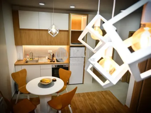 Sale, one bedroom apartment, 38m², Palisad, Zlatibor - image 3